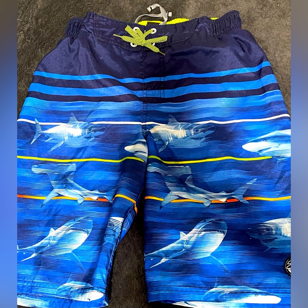 Boys /small men’s swimming trunks!perfect condition!